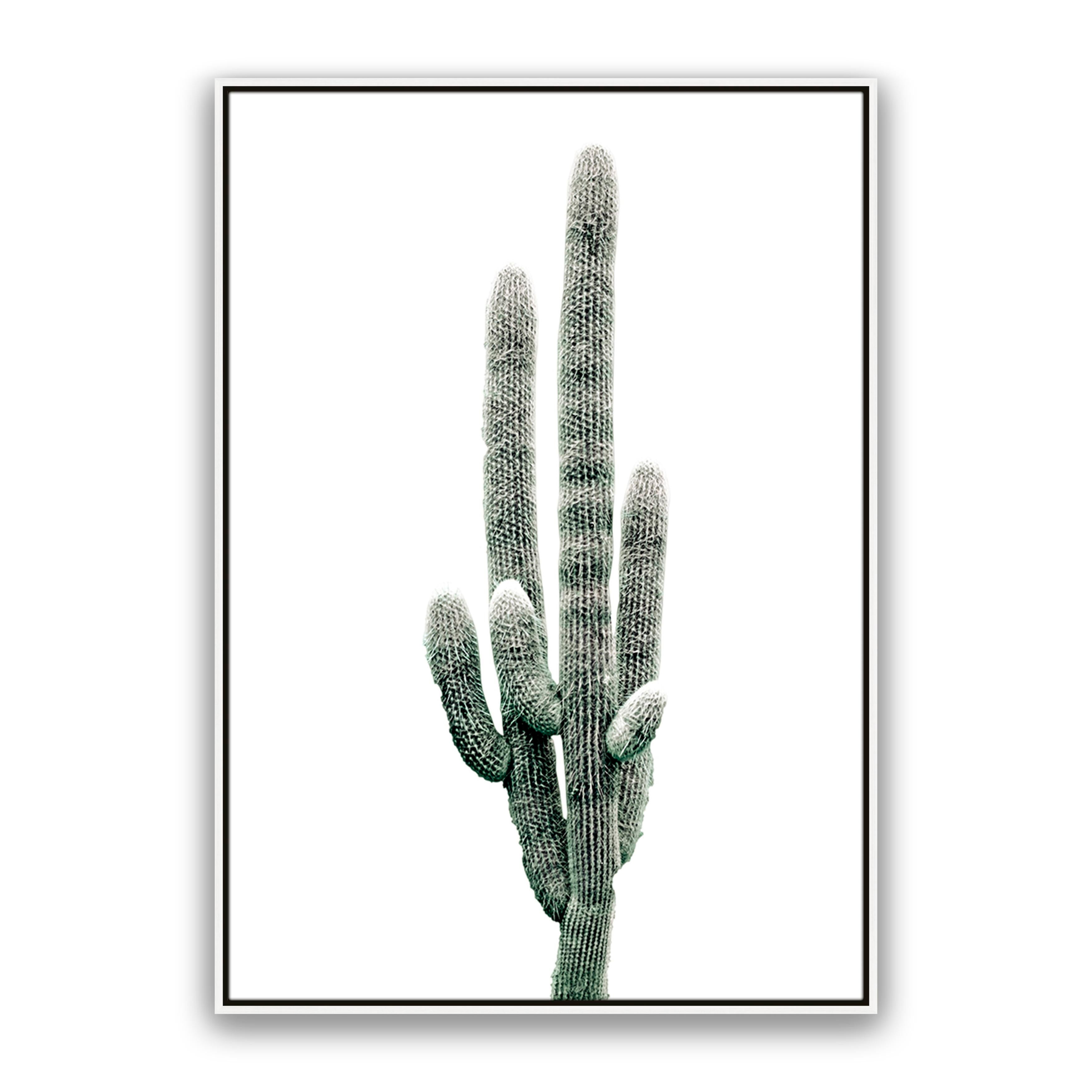 Saguaro