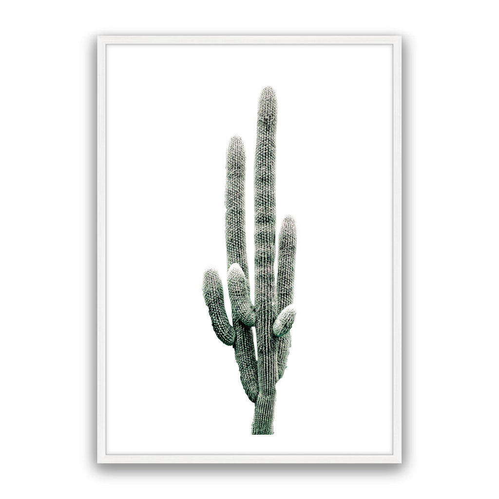 Saguaro