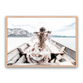 Smooth Sail