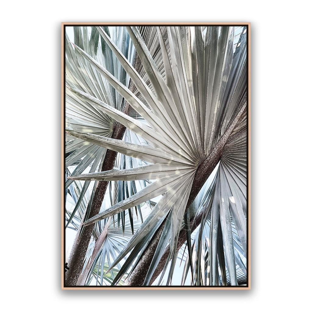 Palm Effect