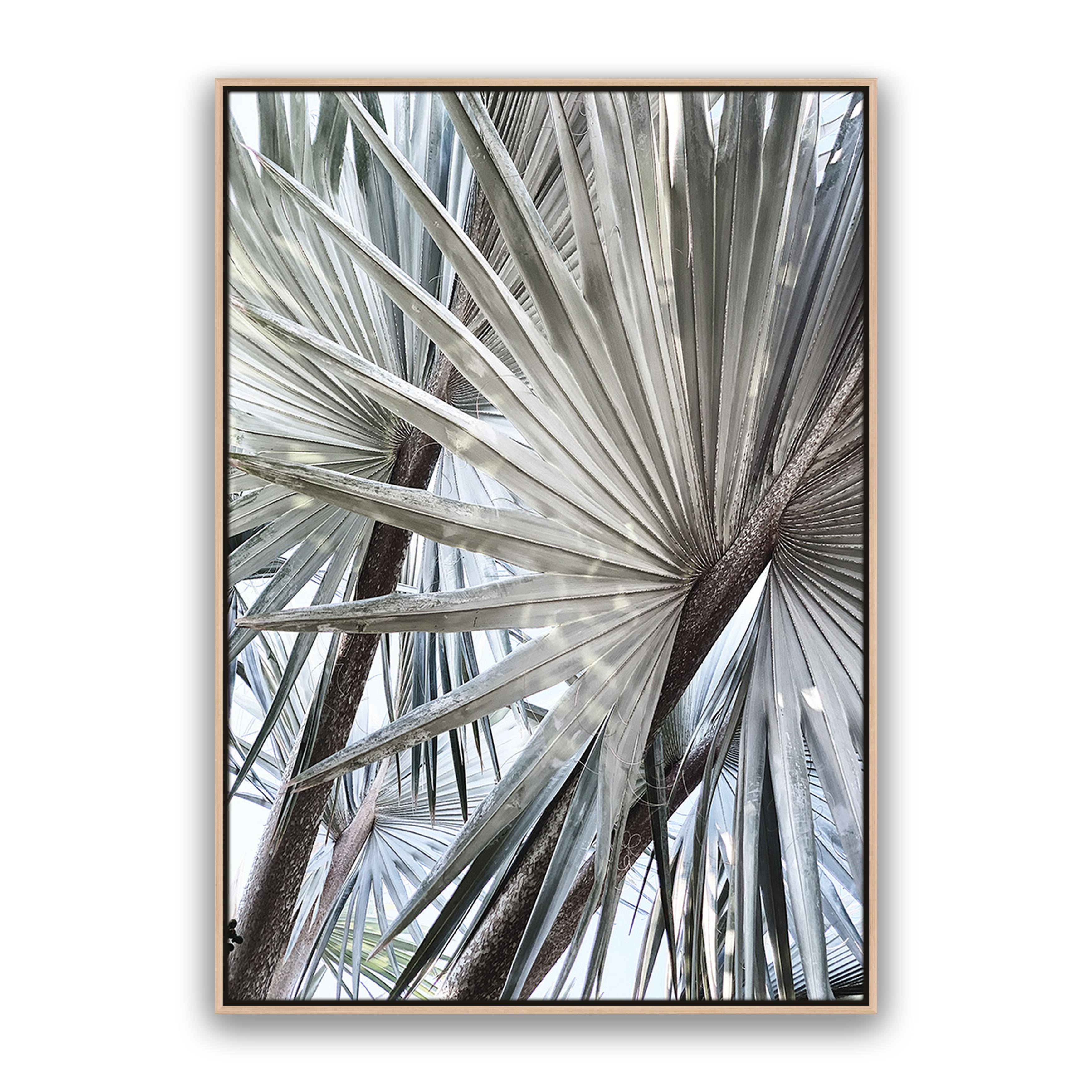 Palm Effect