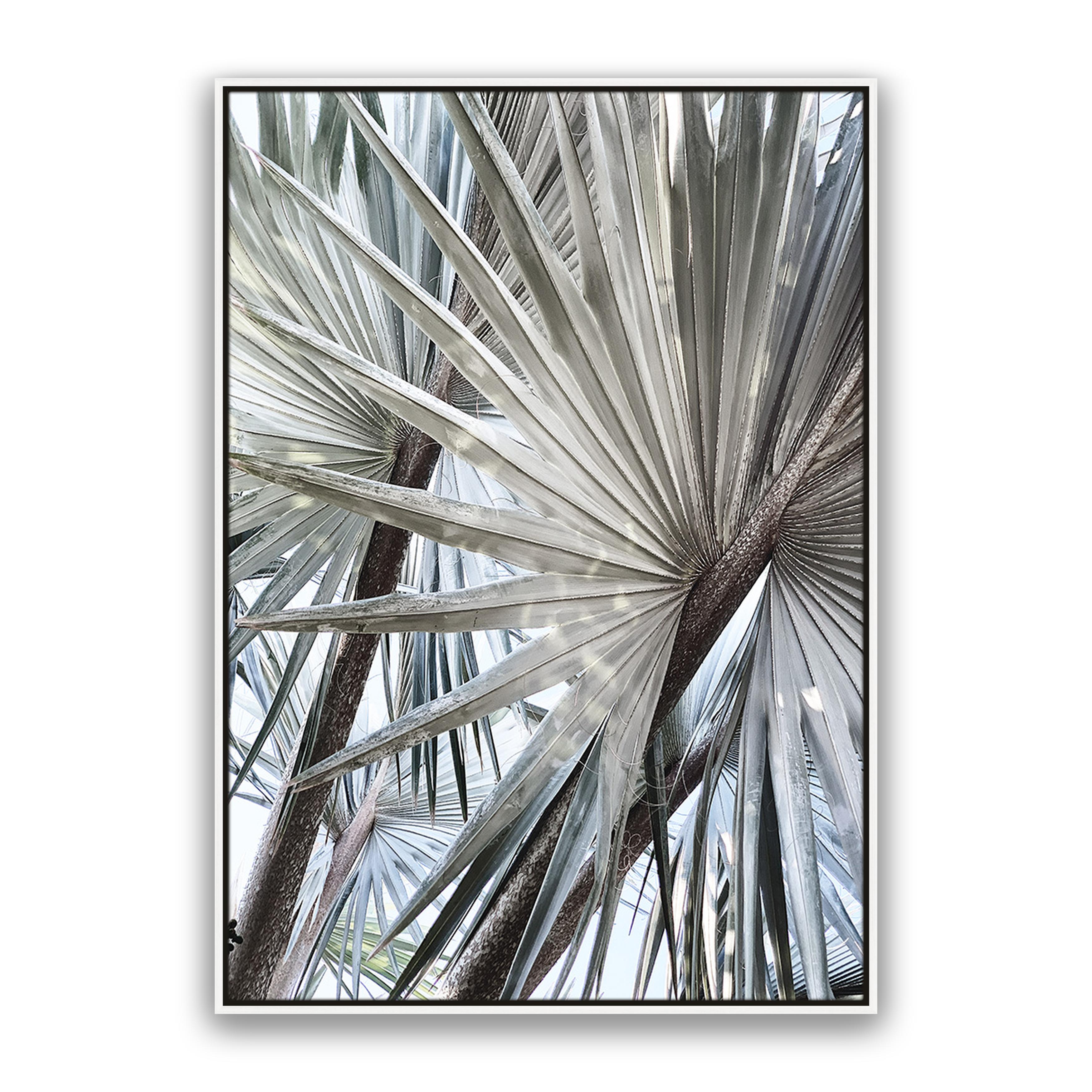 Palm Effect