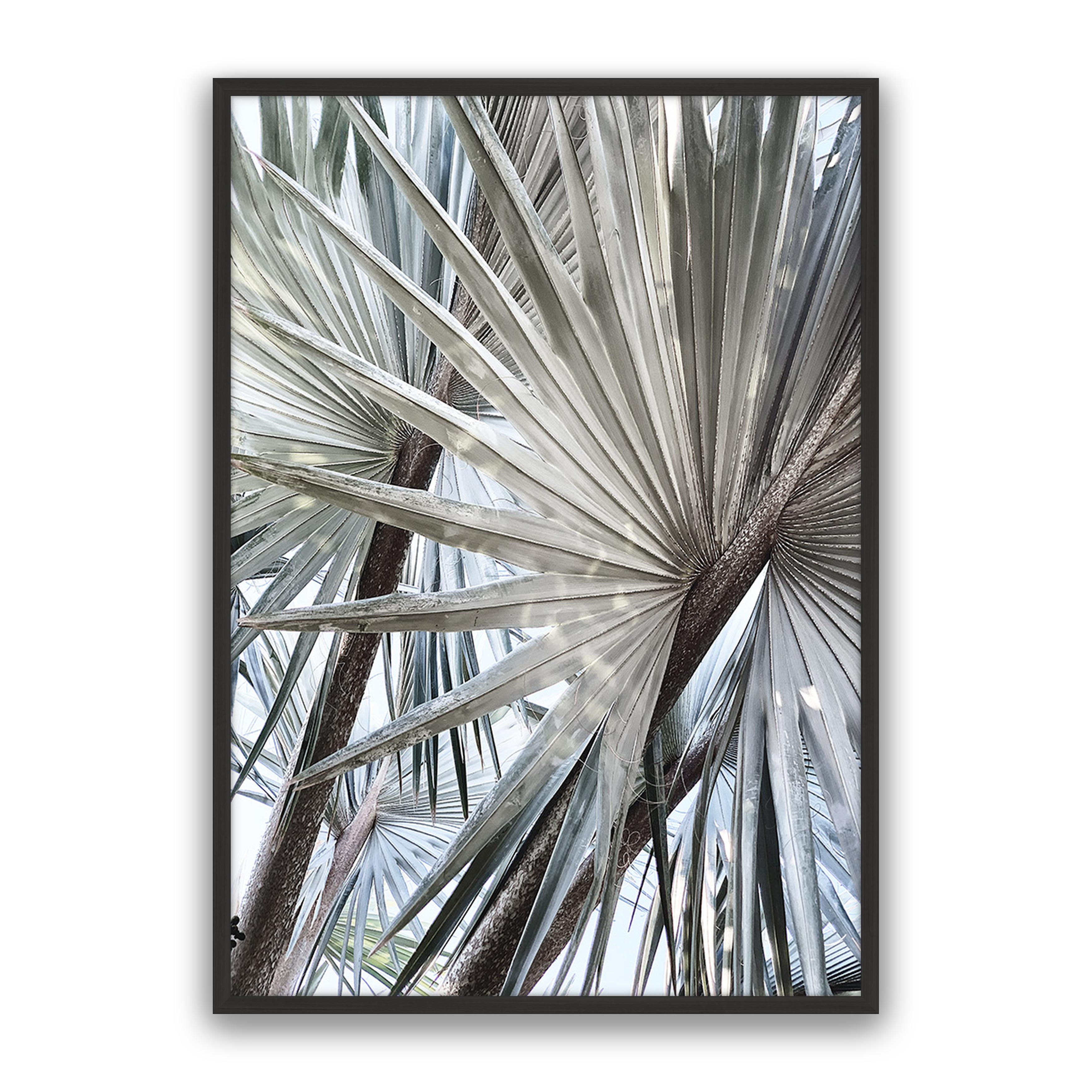 Palm Effect