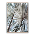 Palm Effect