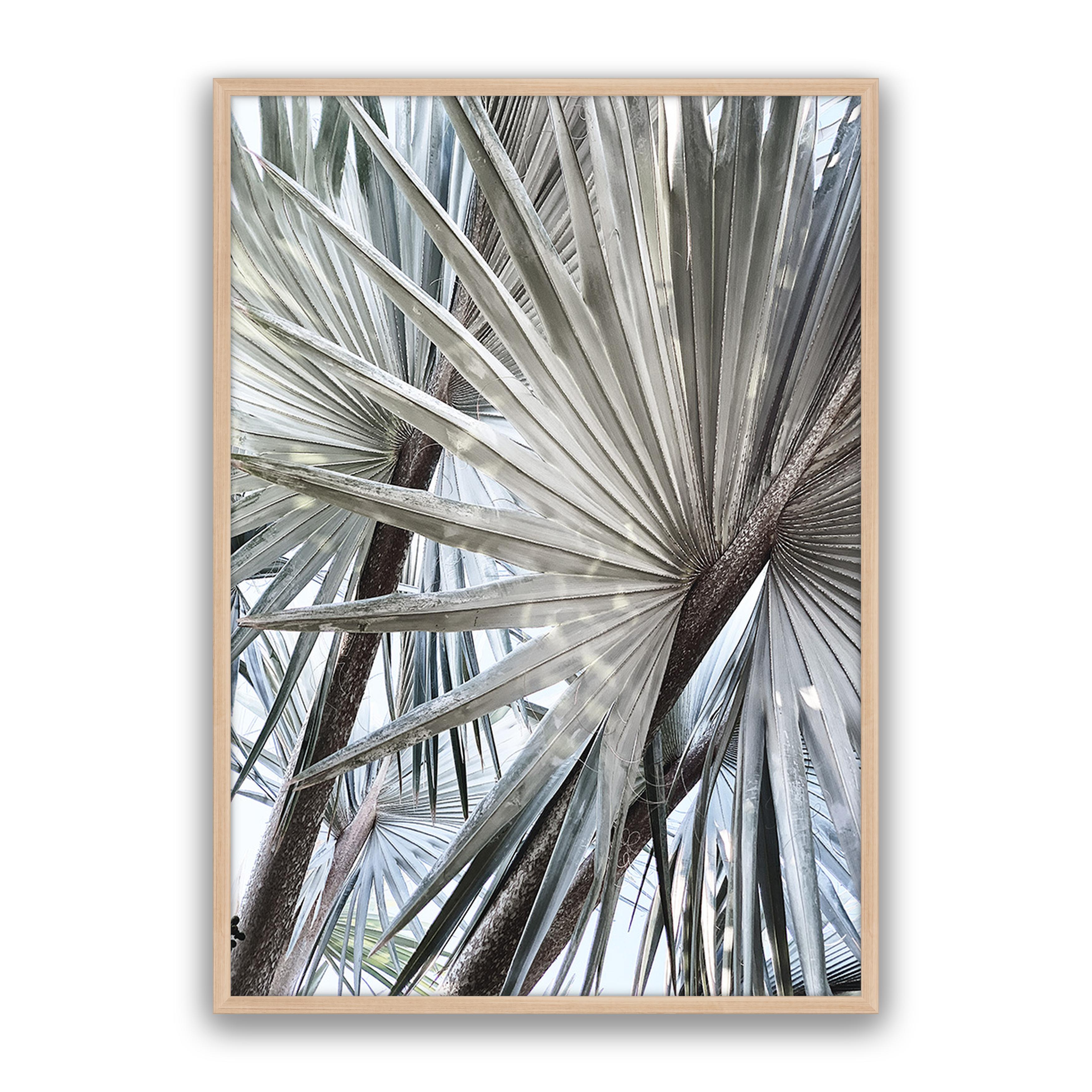 Palm Effect