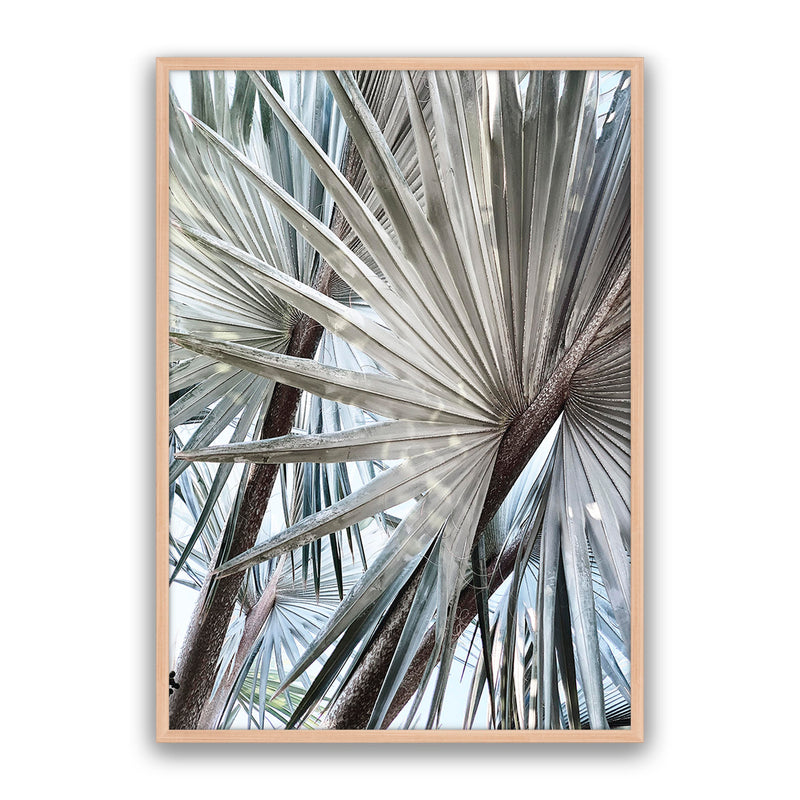 Palm Effect