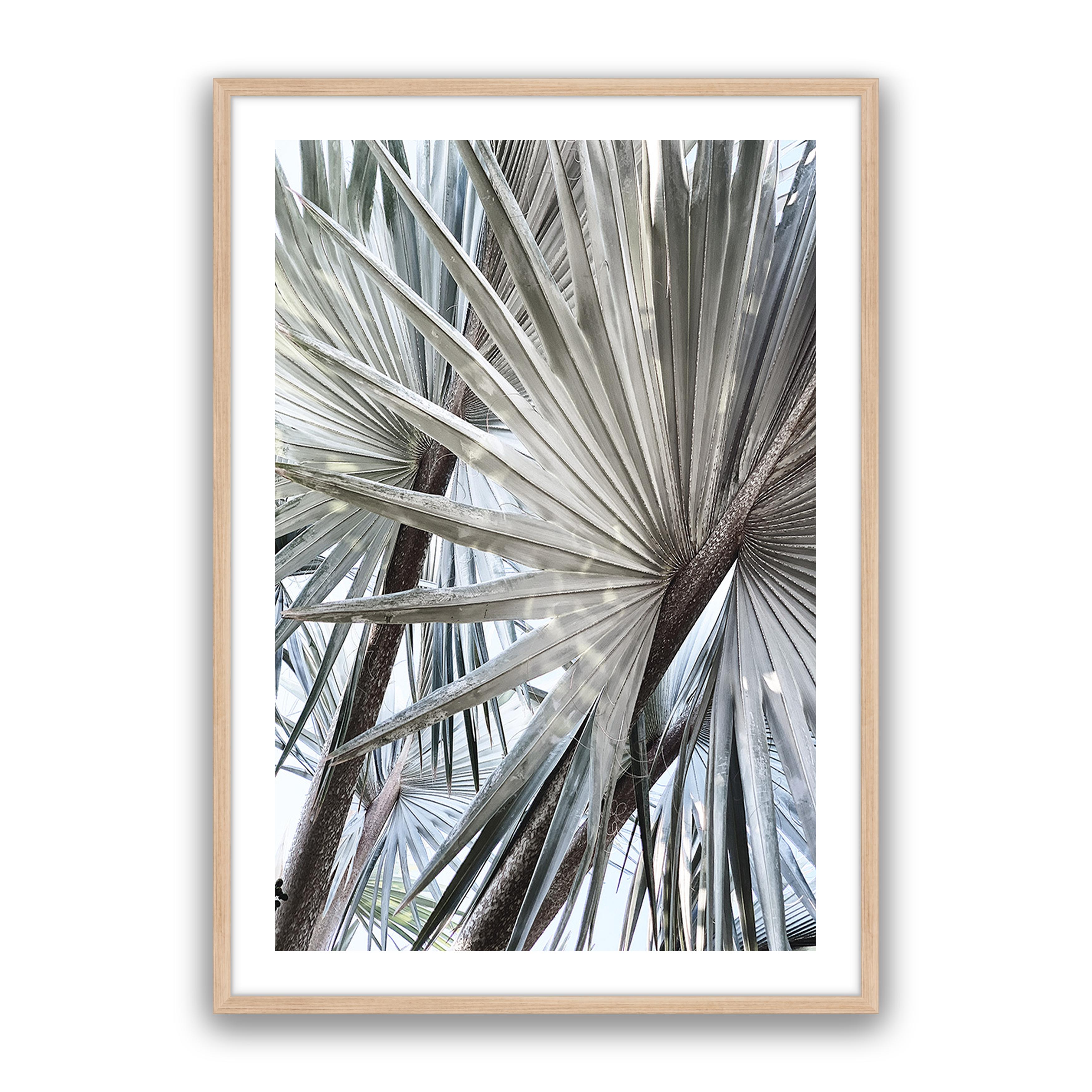 Palm Effect