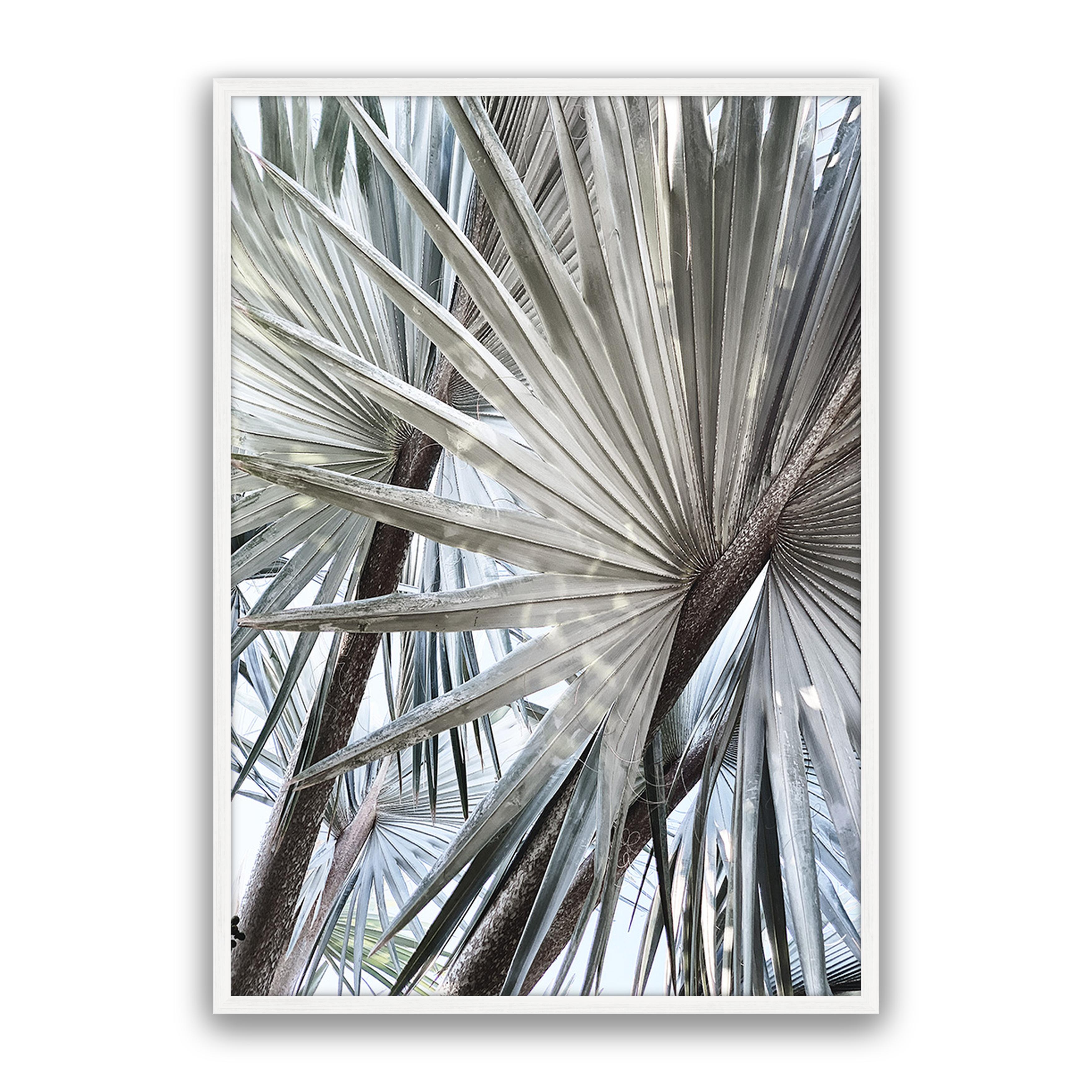 Palm Effect