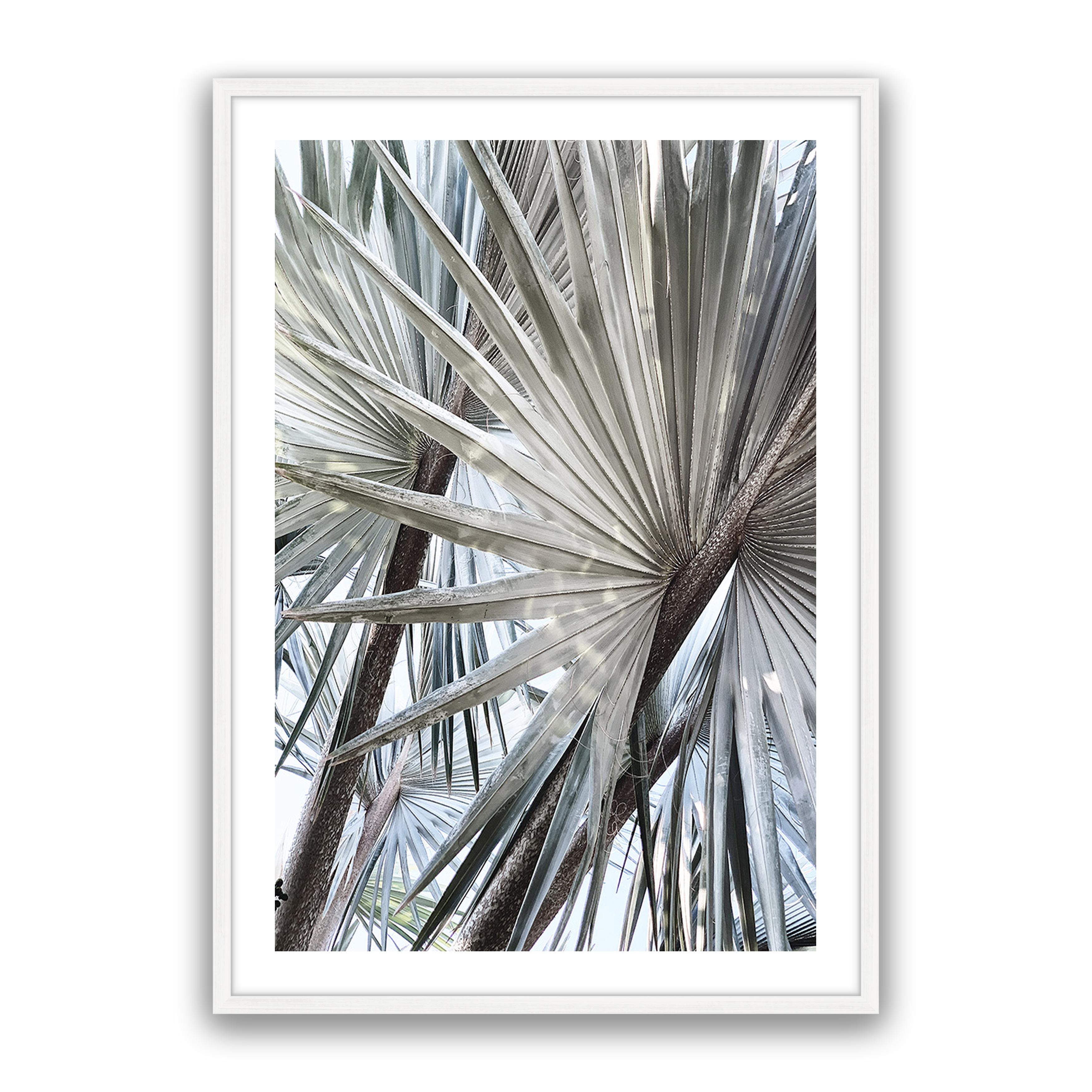 Palm Effect