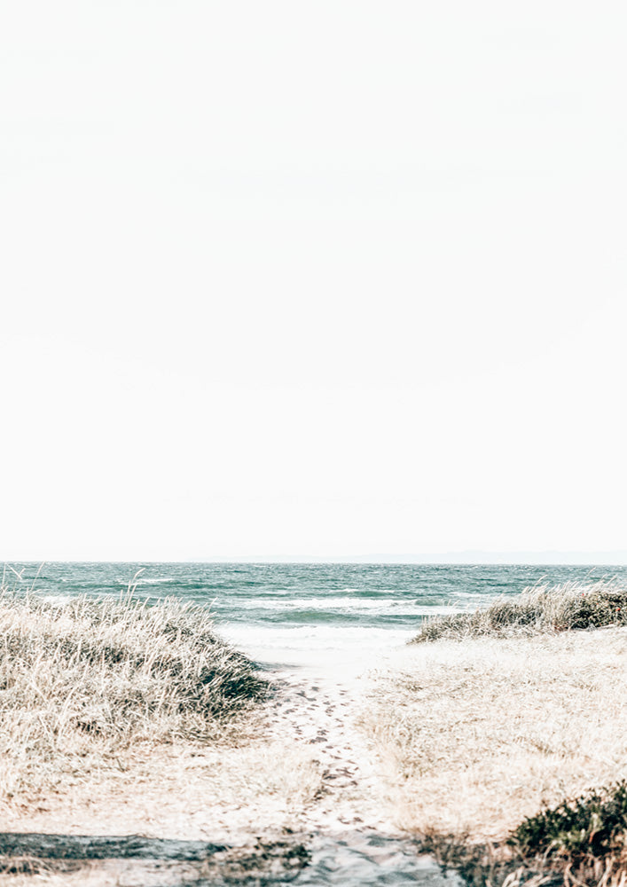 Beach Trail