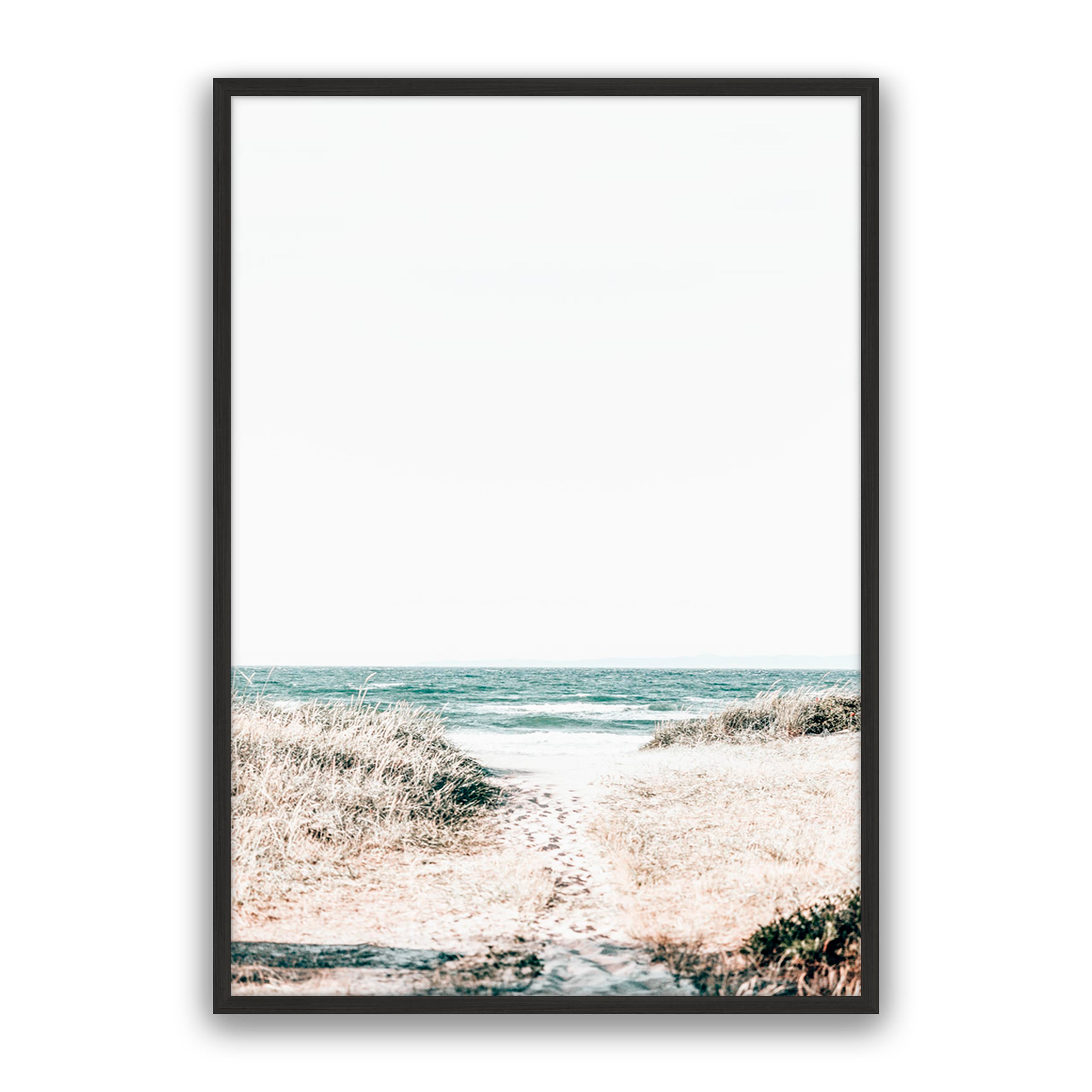 Beach Trail