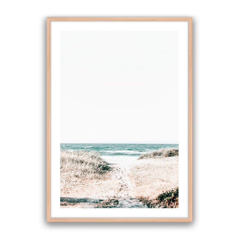 Beach Trail