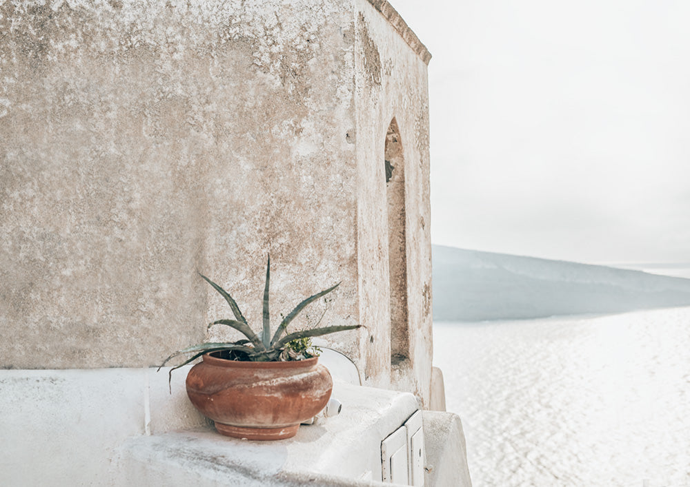 Rustic View