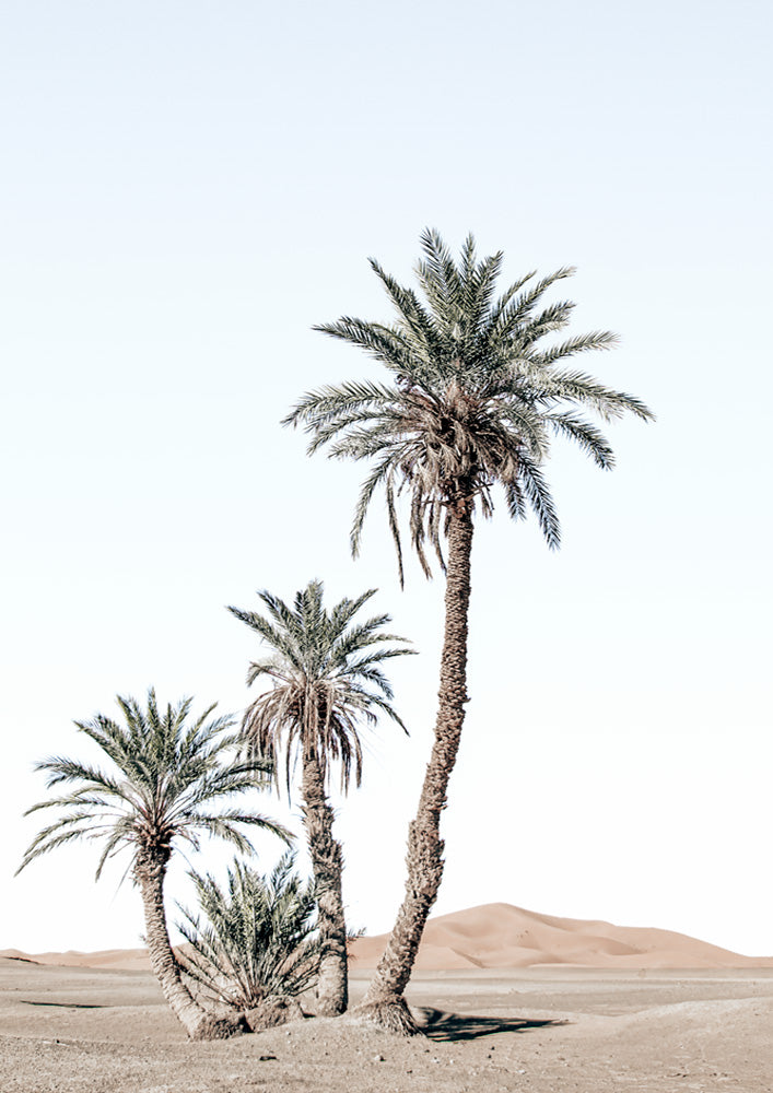Desert Days
