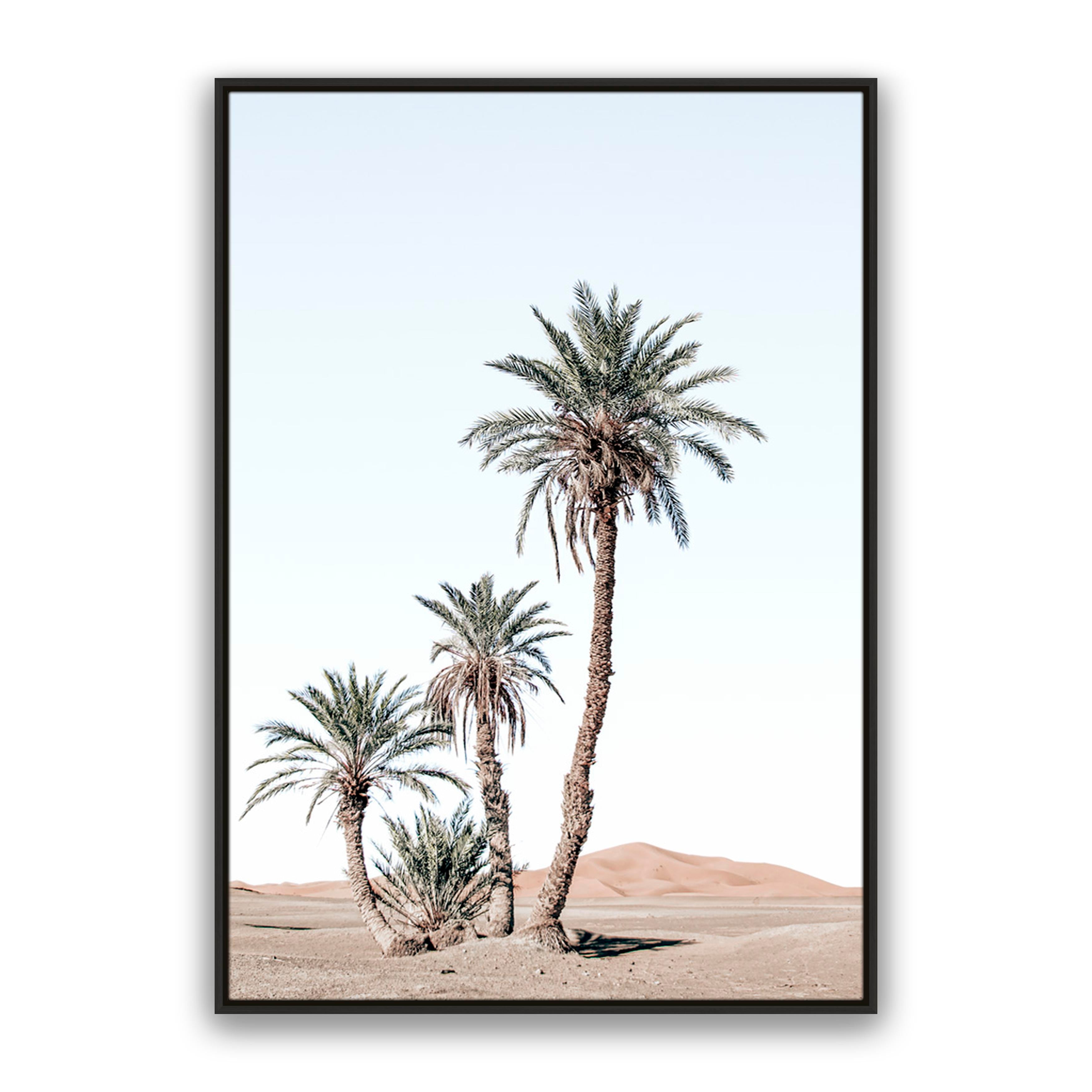 Desert Days