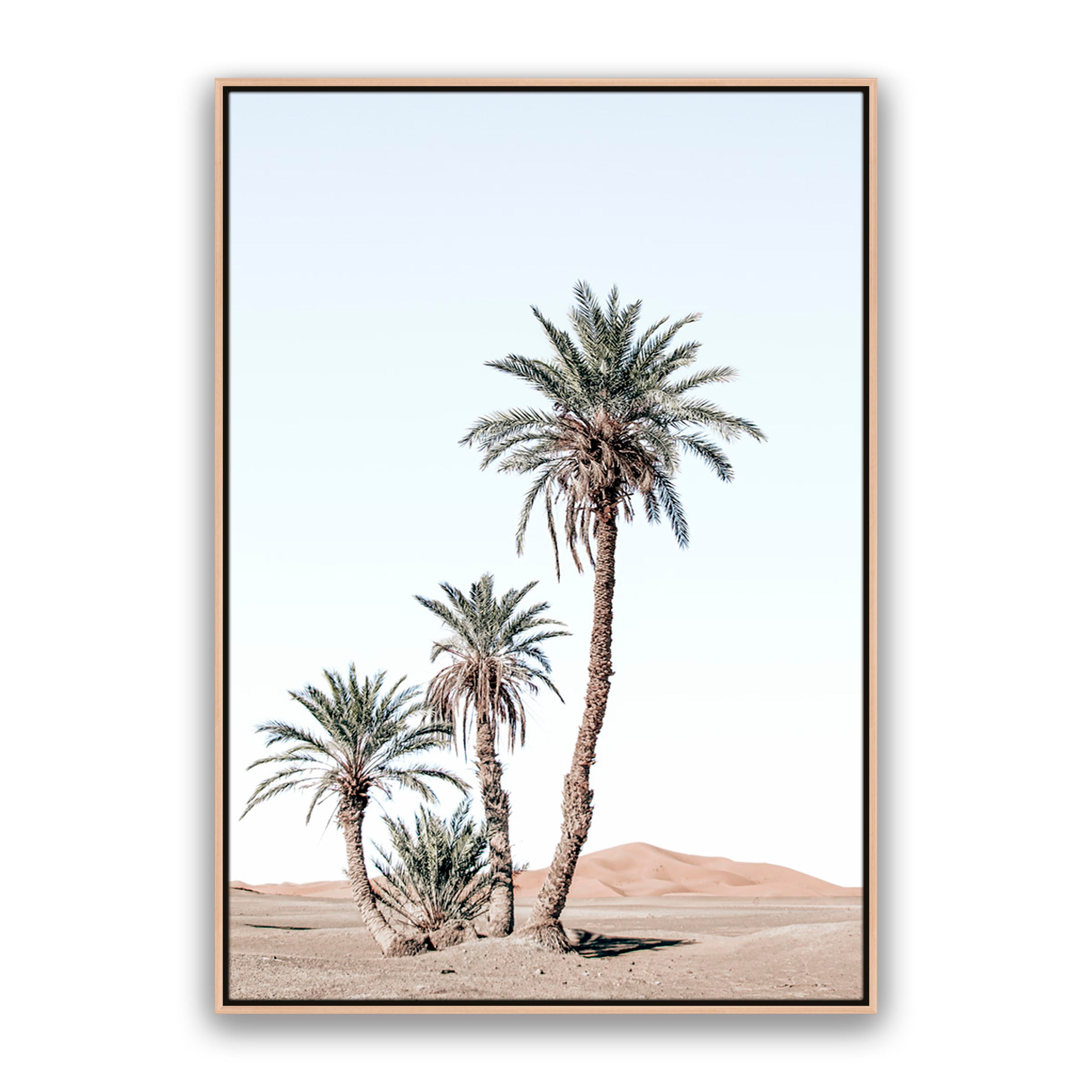 Desert Days