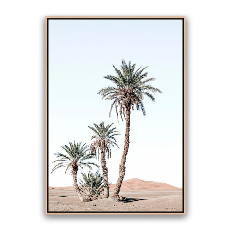 Desert Days