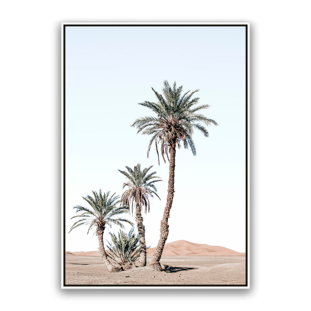 Desert Days