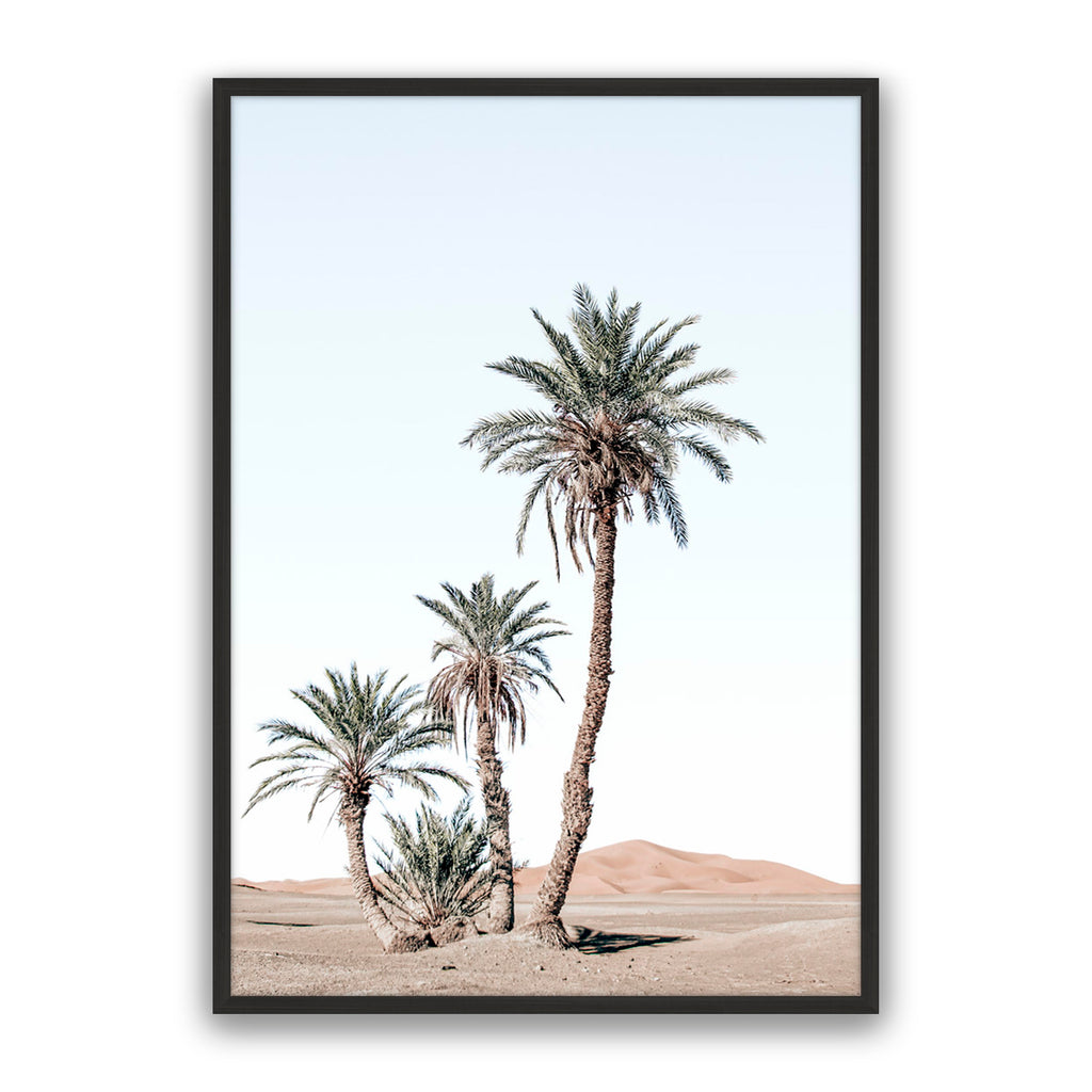 Desert Days