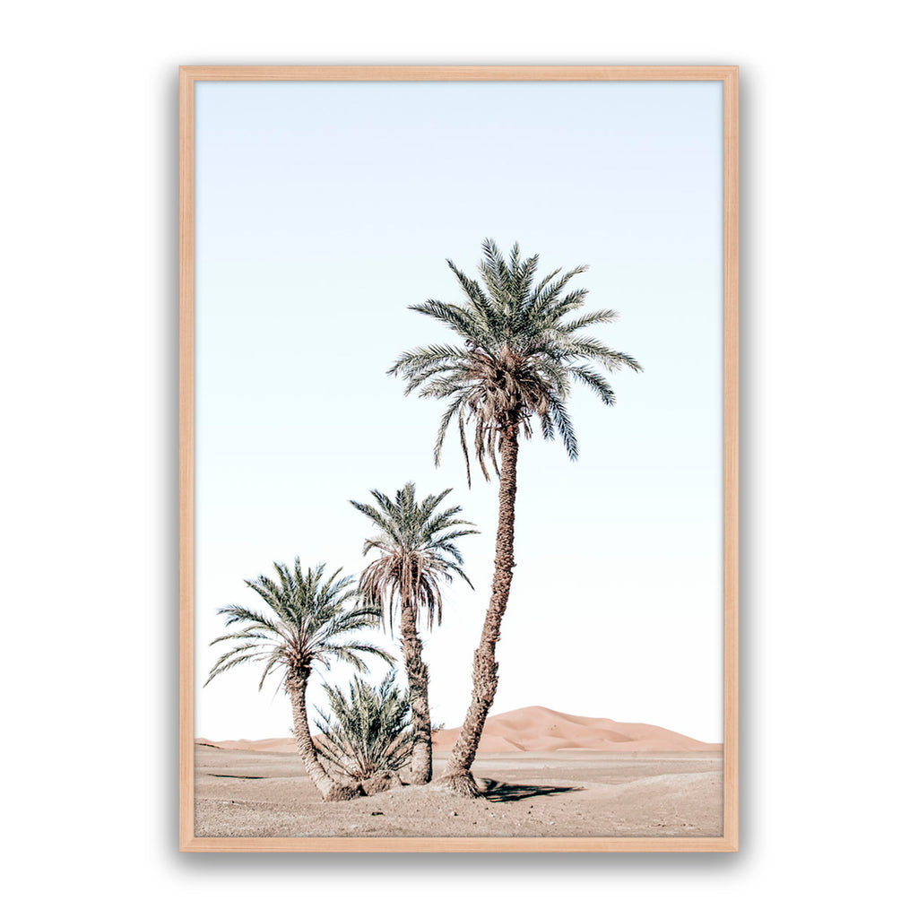 Desert Days