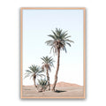 Desert Days