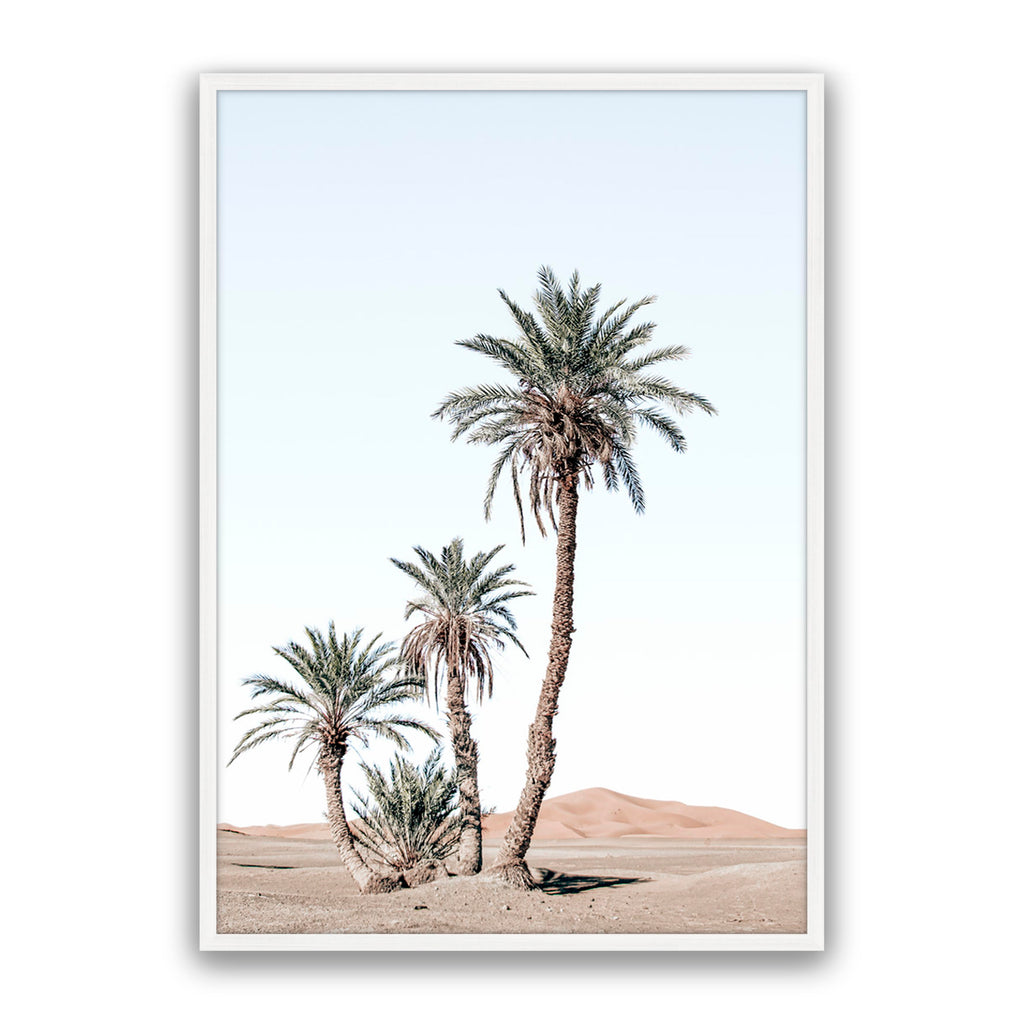 Desert Days