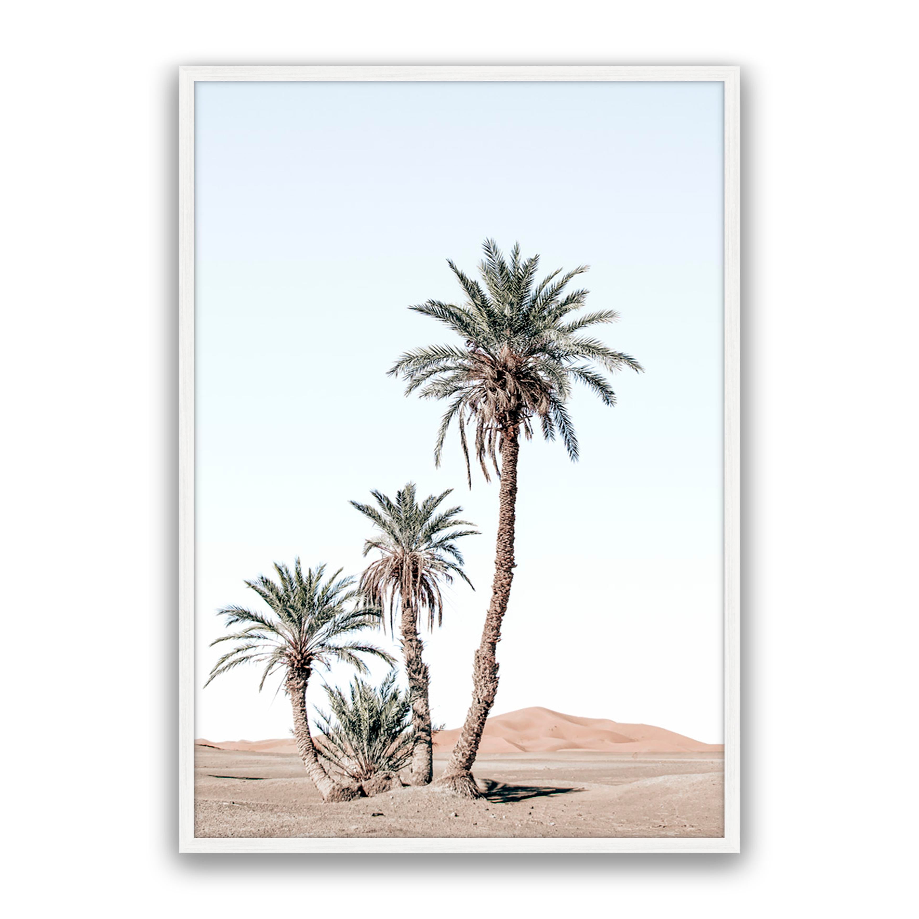 Desert Days