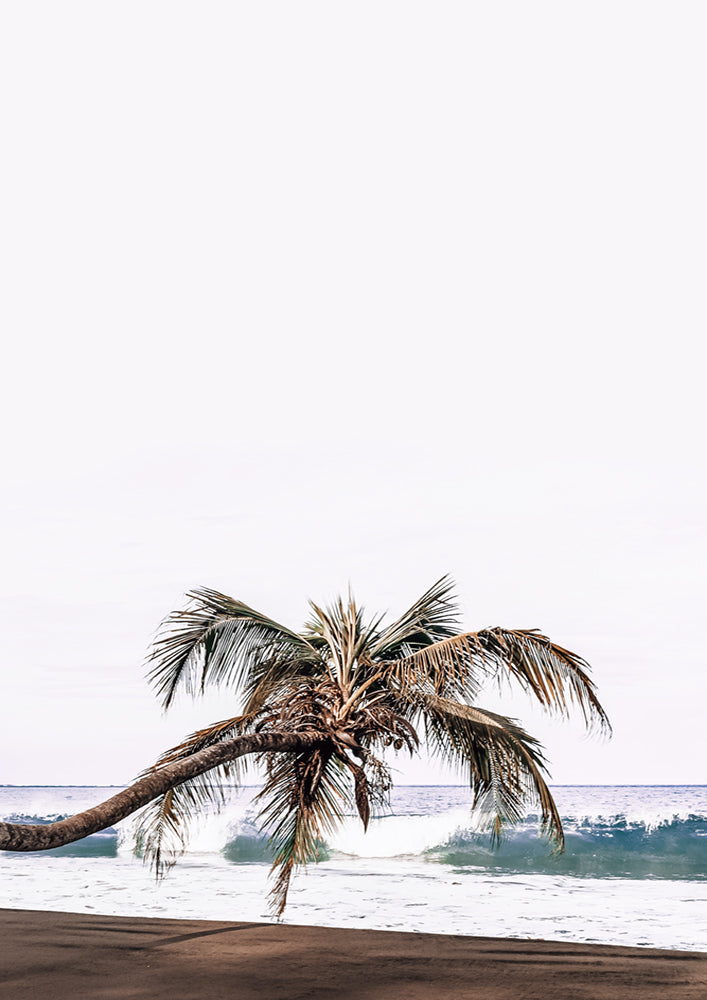 Vacay