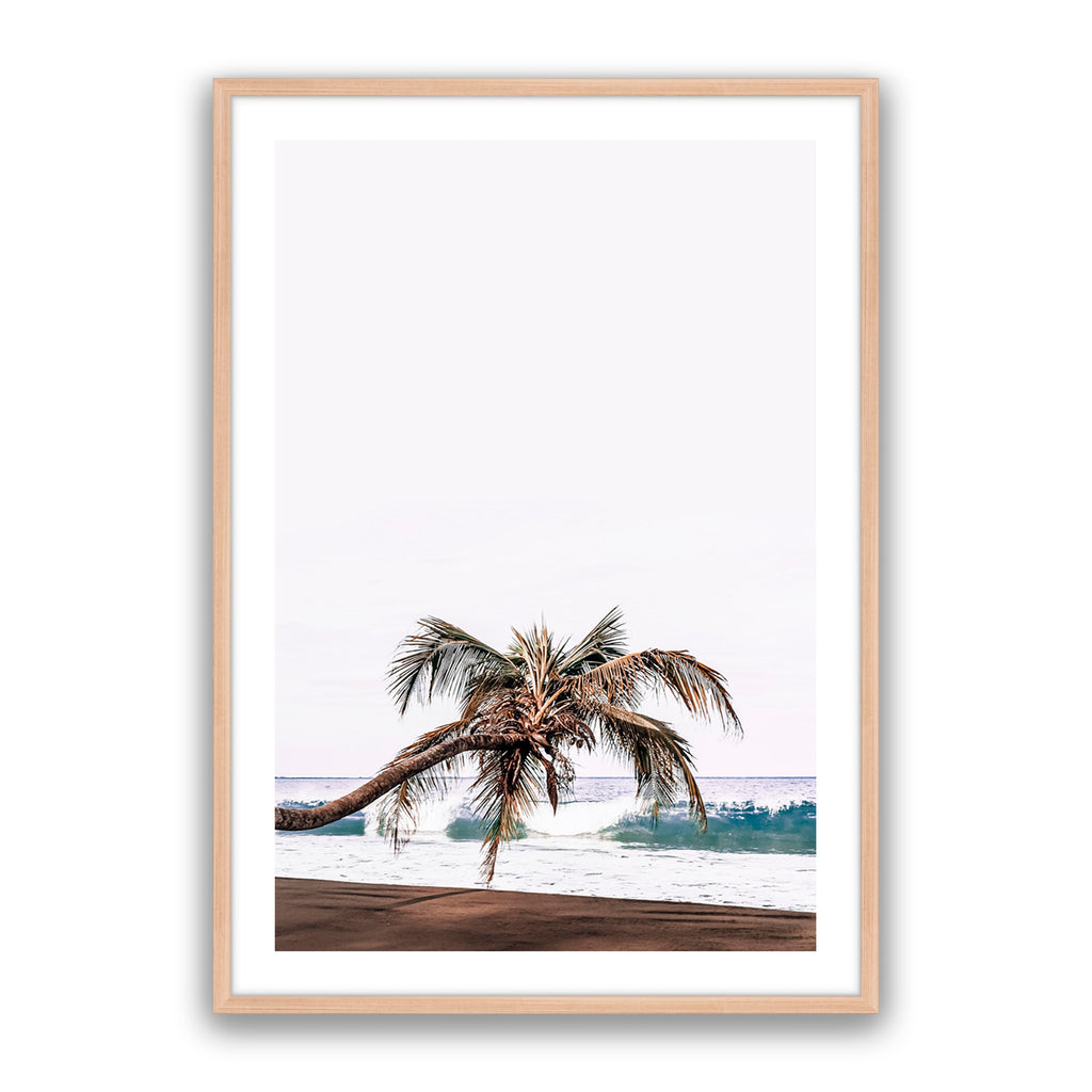 Vacay