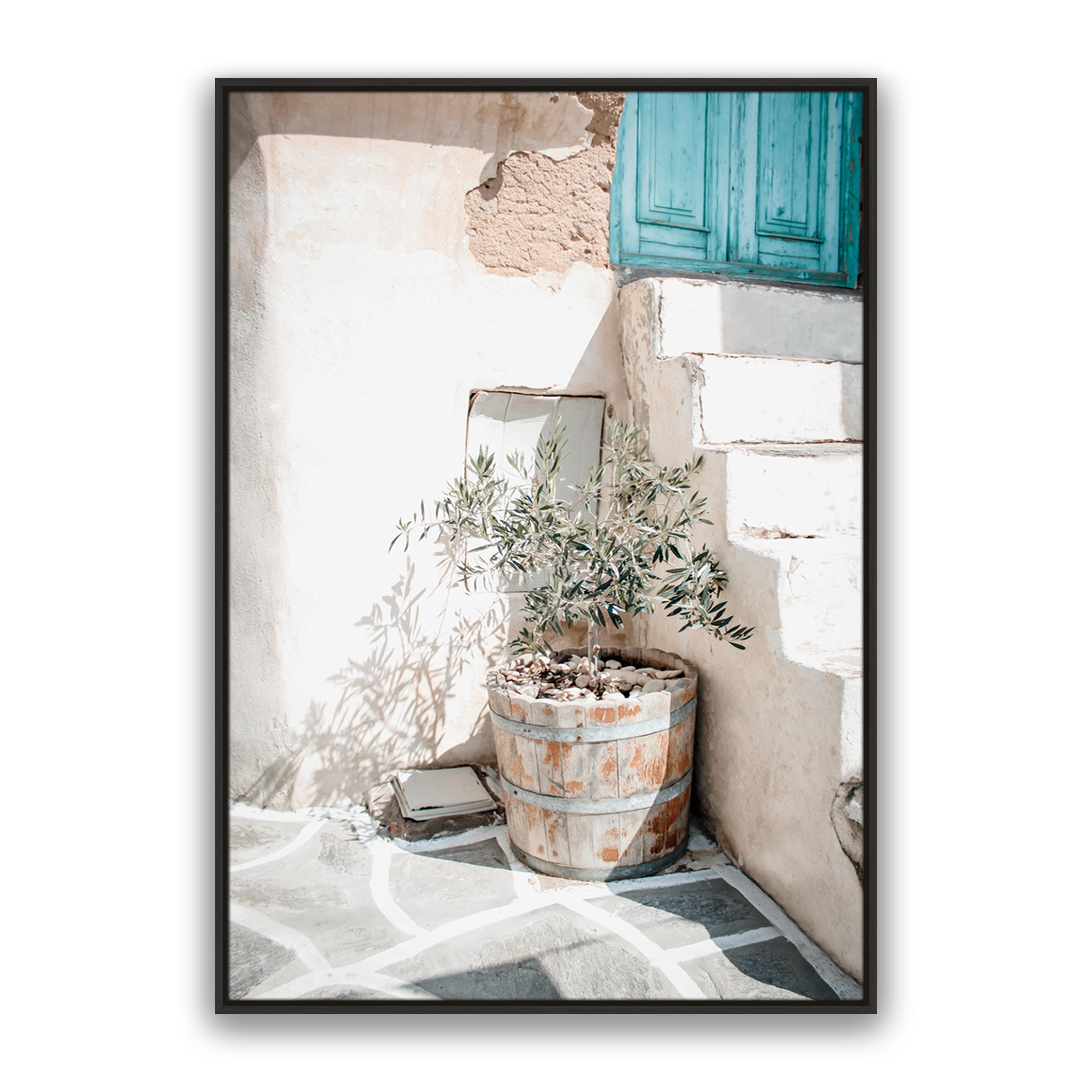 Baracca