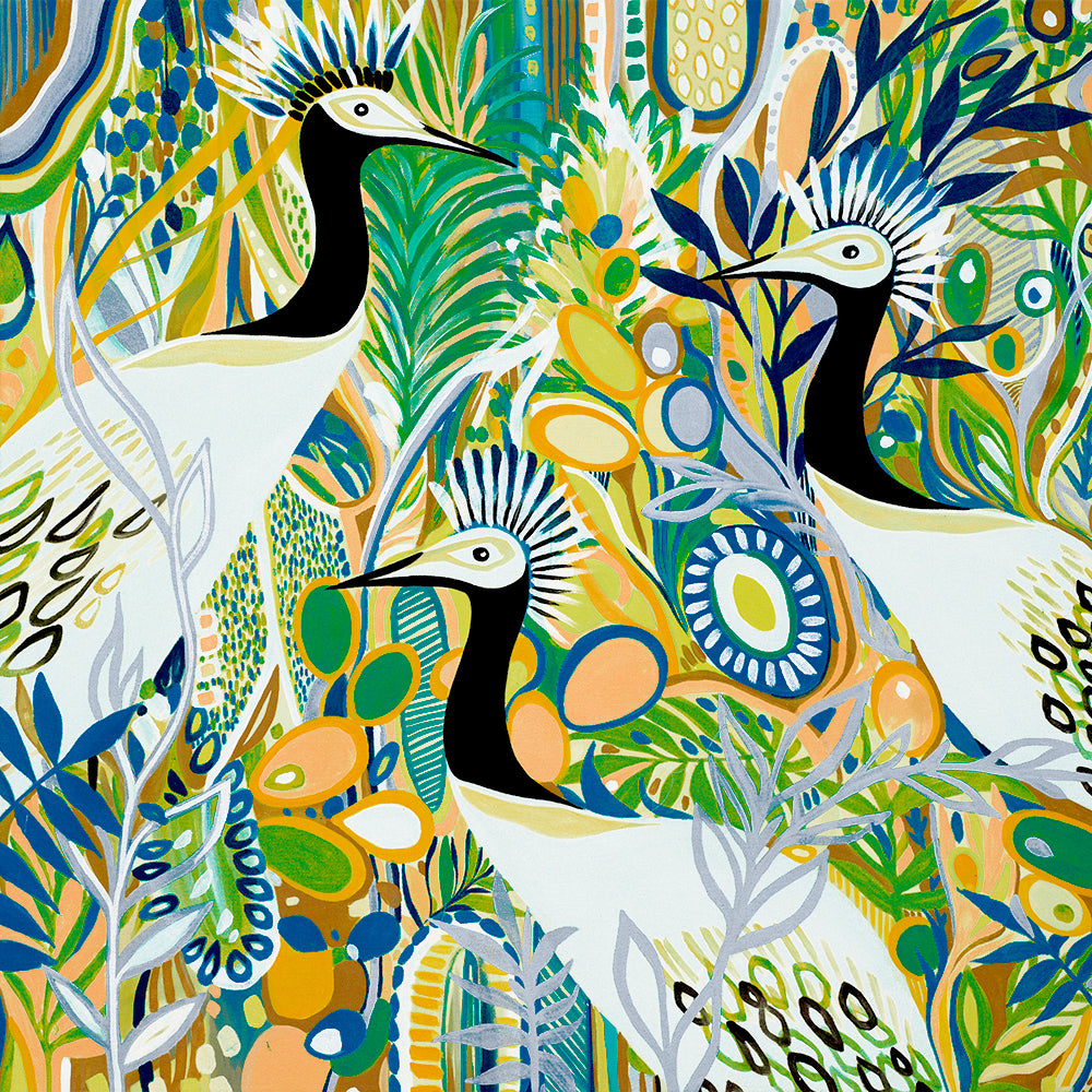 Rio Birds