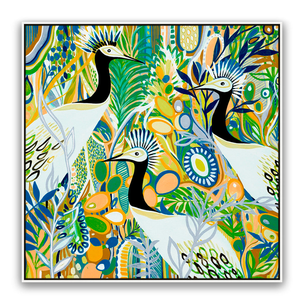 Rio Birds