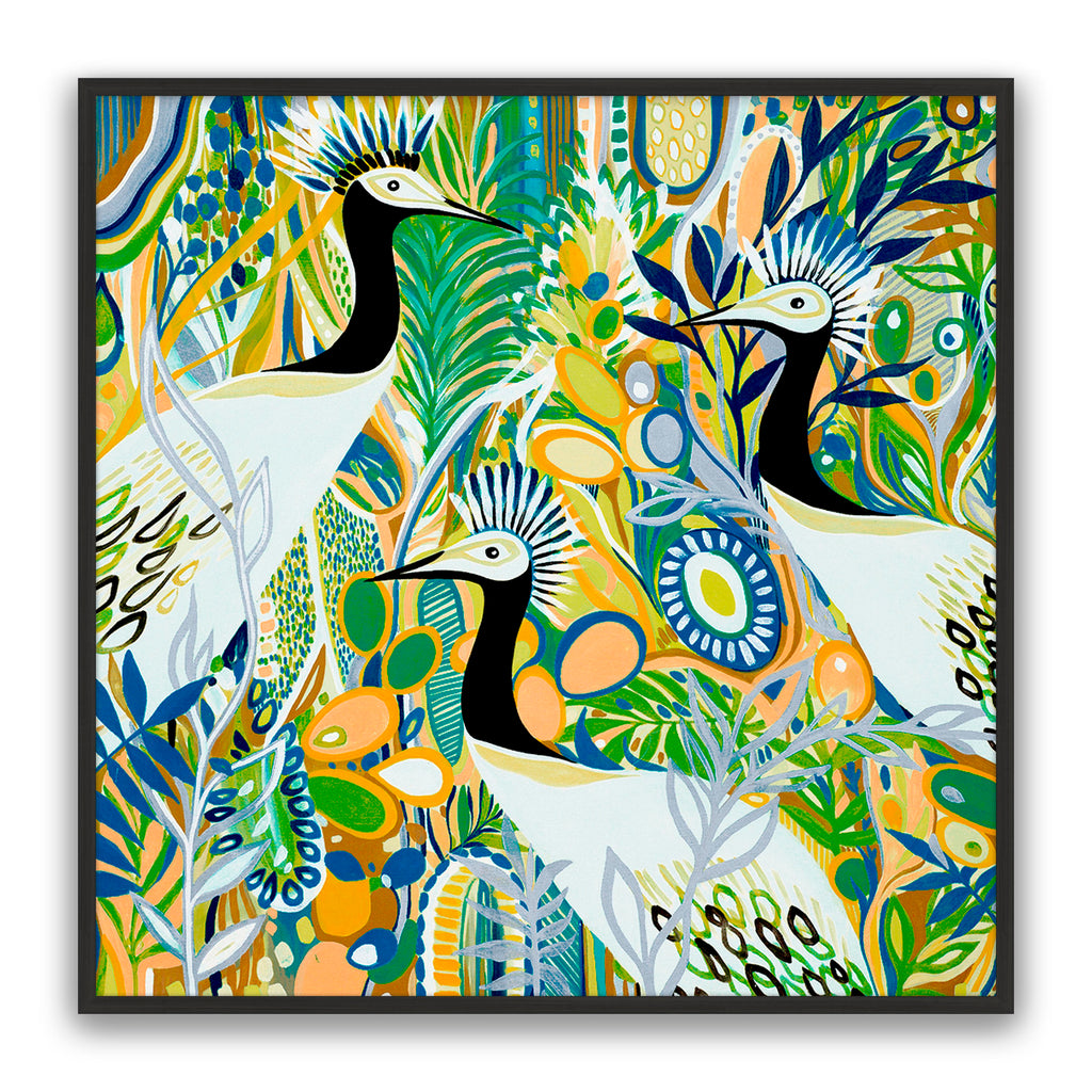 Rio Birds