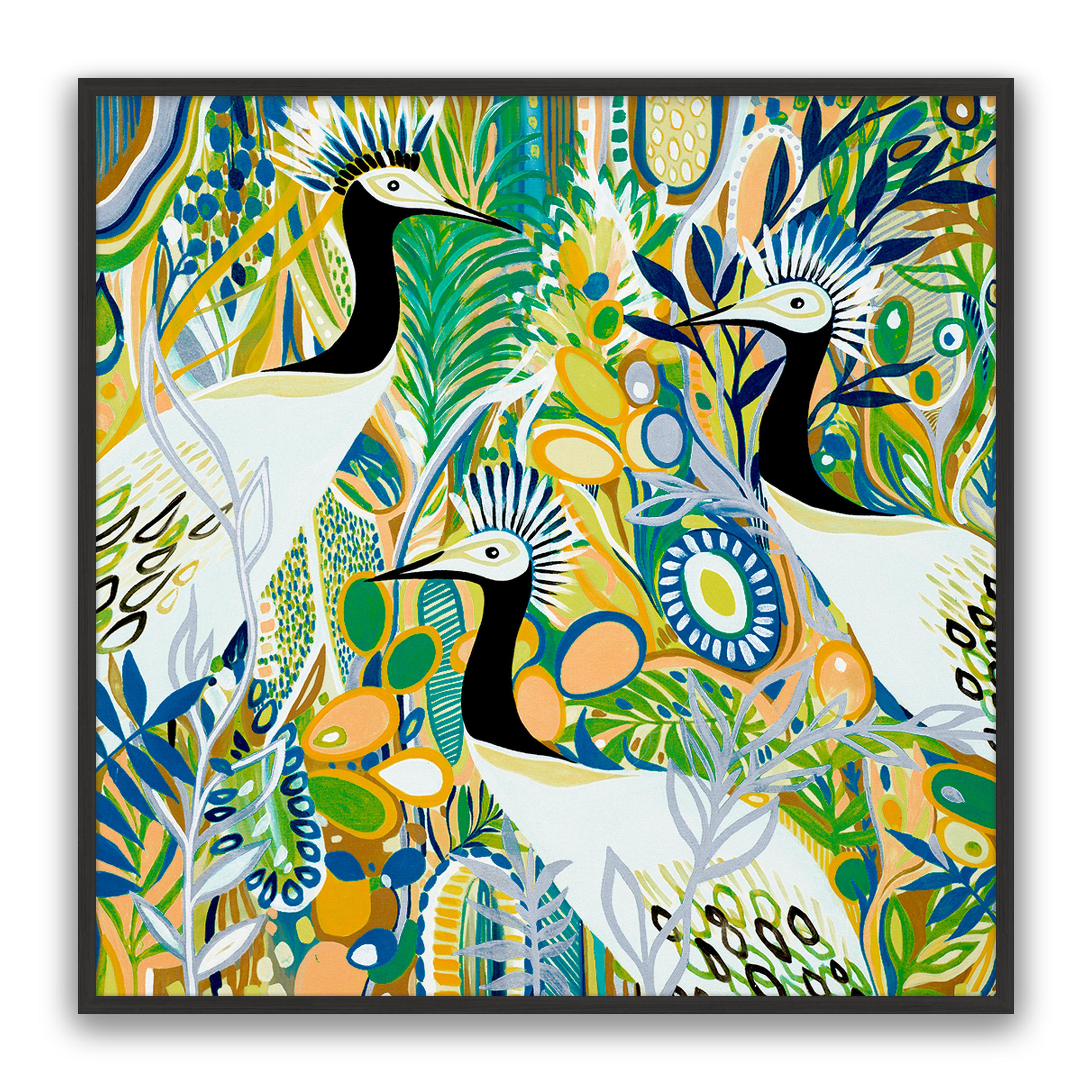 Rio Birds