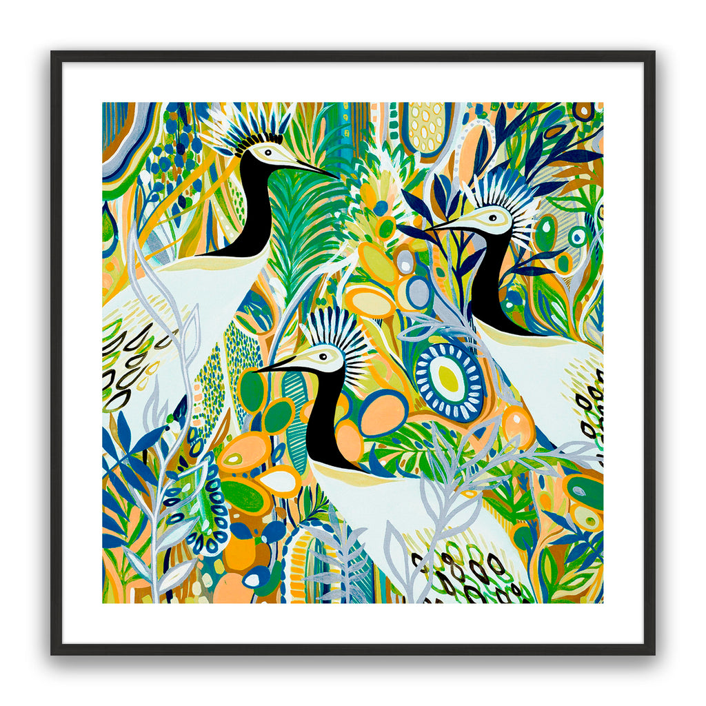 Rio Birds
