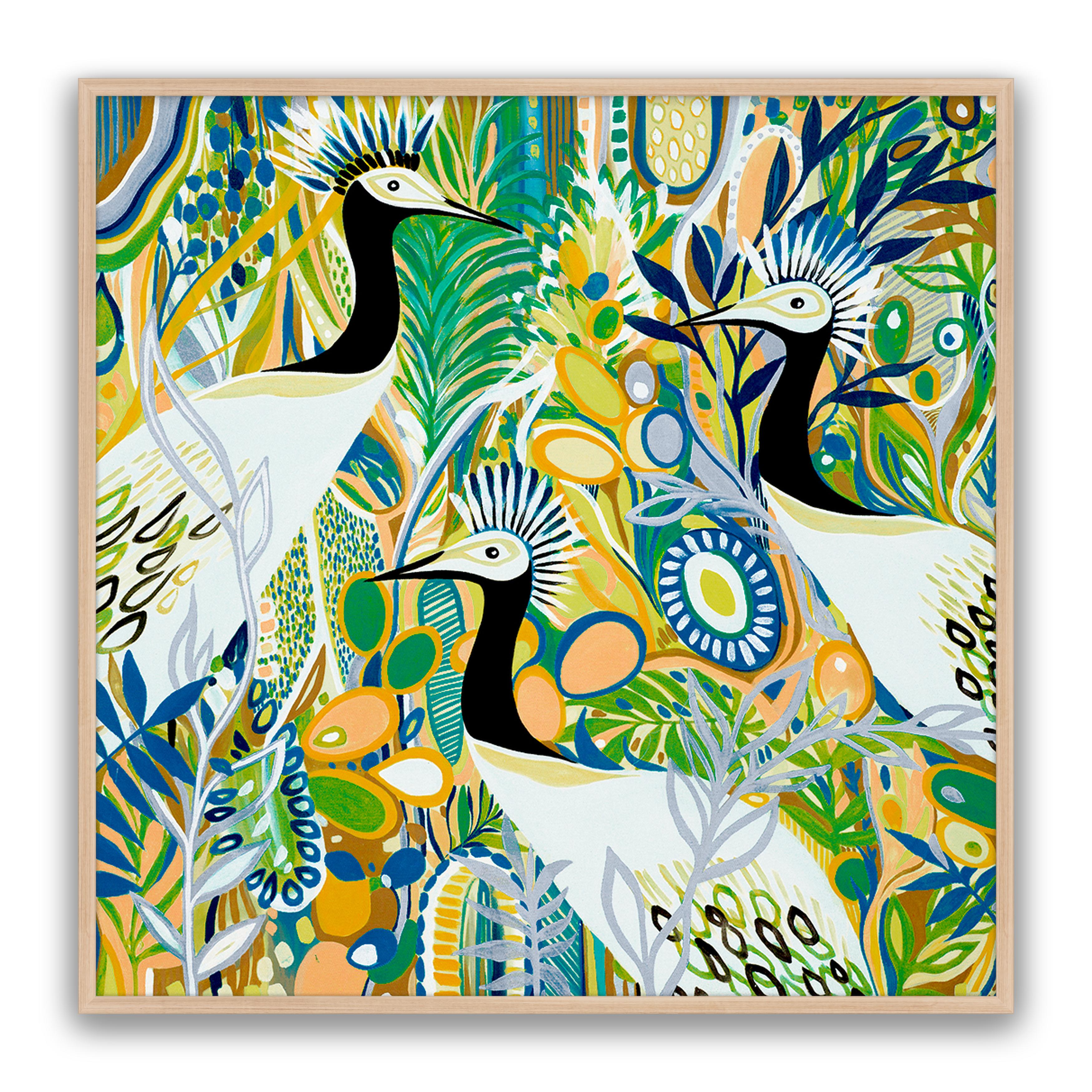 Rio Birds