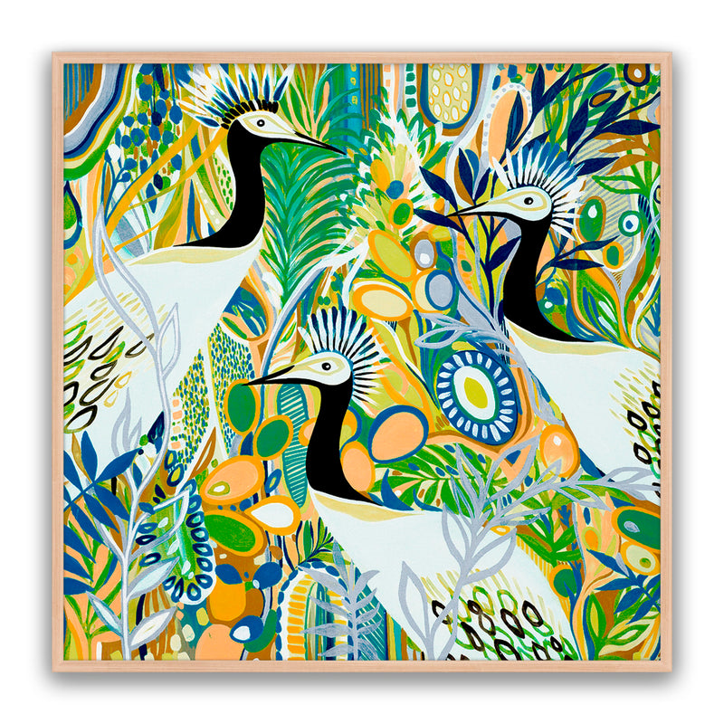 Rio Birds