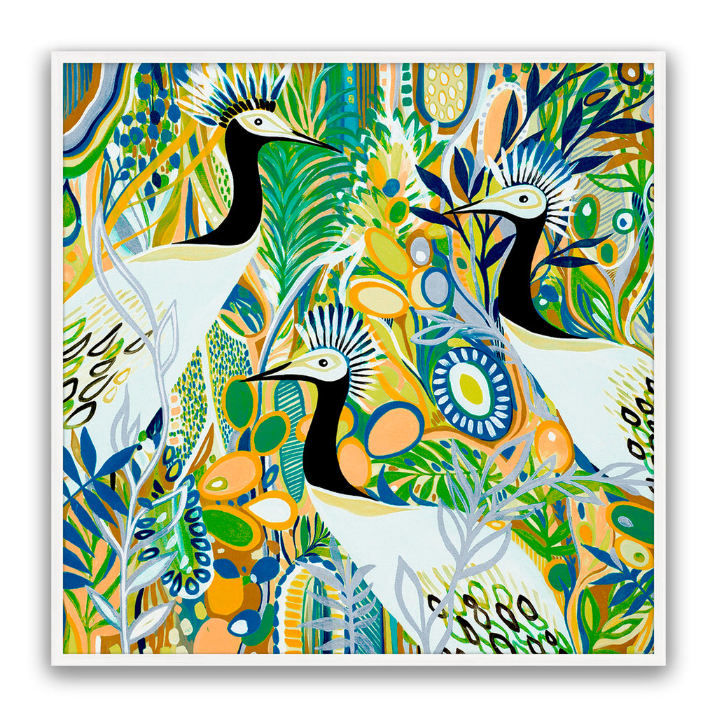 Rio Birds