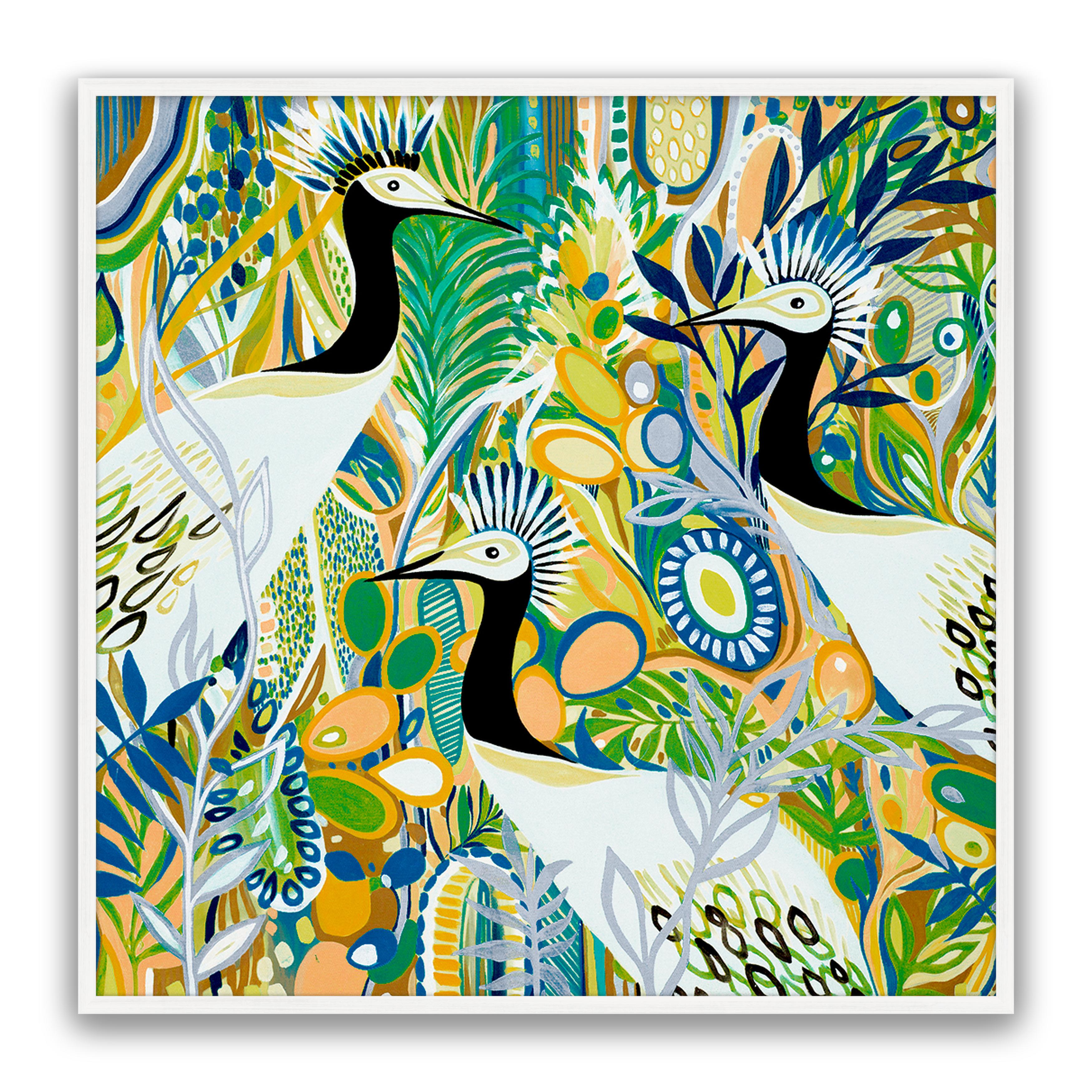 Rio Birds