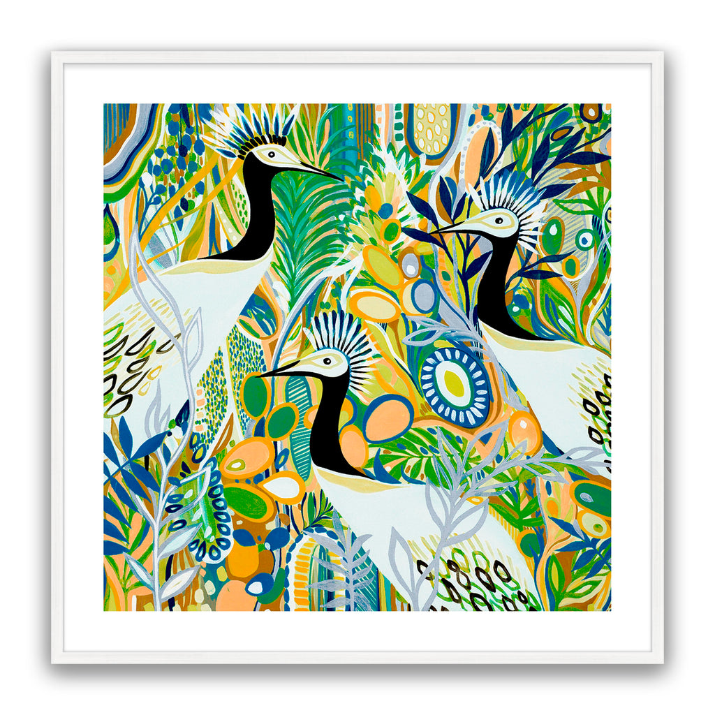 Rio Birds