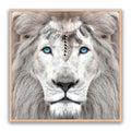 Armon