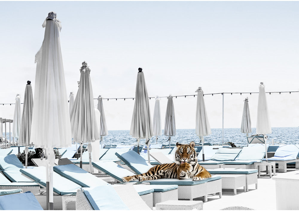 Tiger Lounge