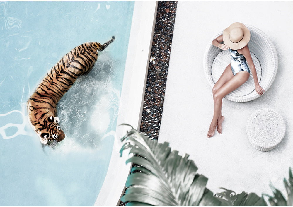 Tigerlilly
