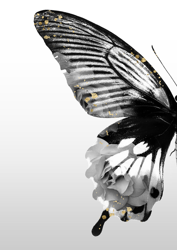 Butterfly Floral Left