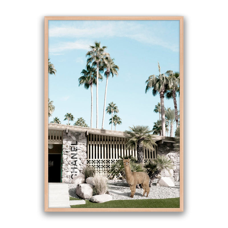 Lama Days
