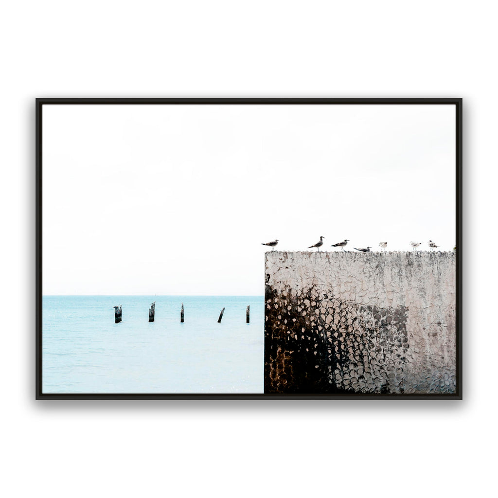 Birds View