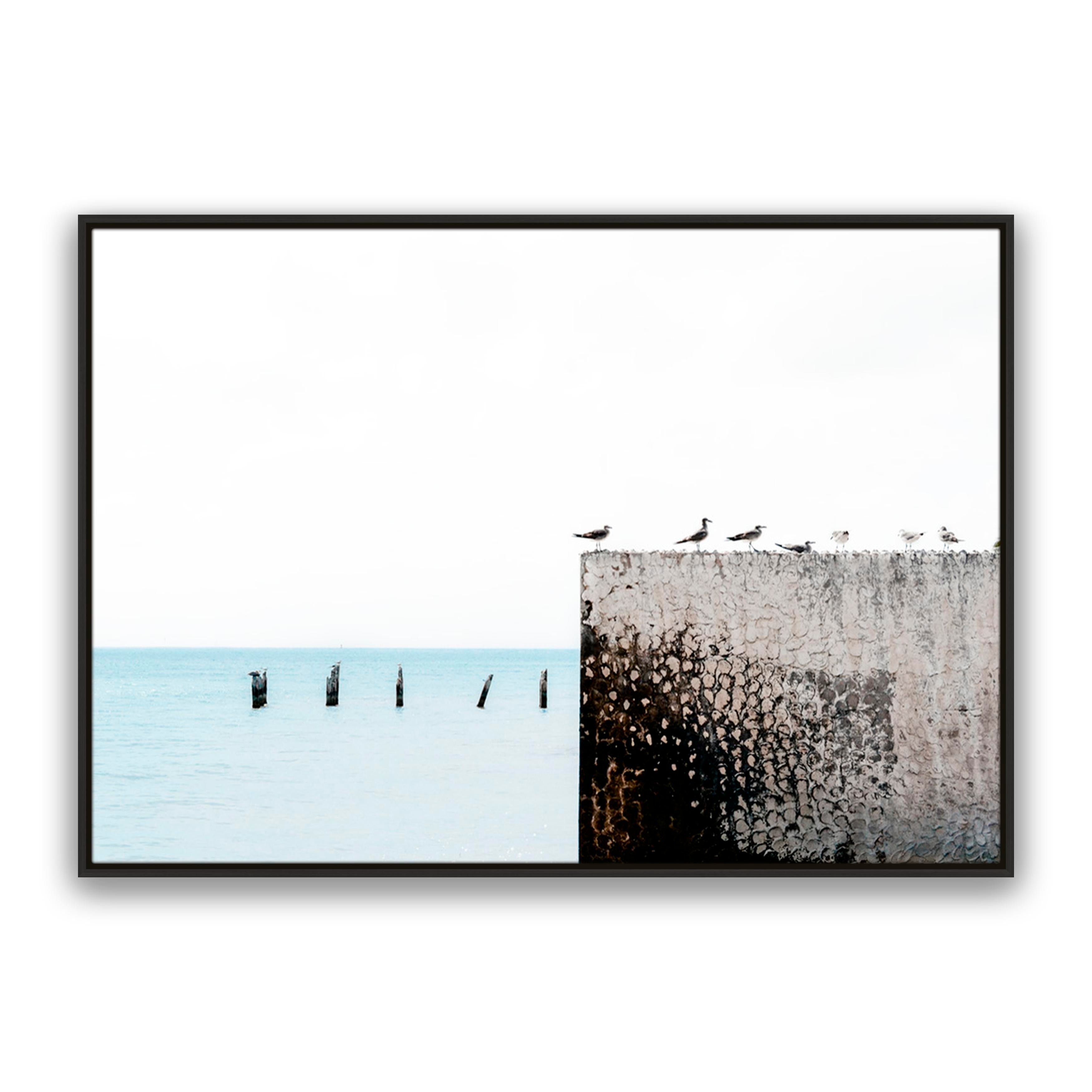 Birds View