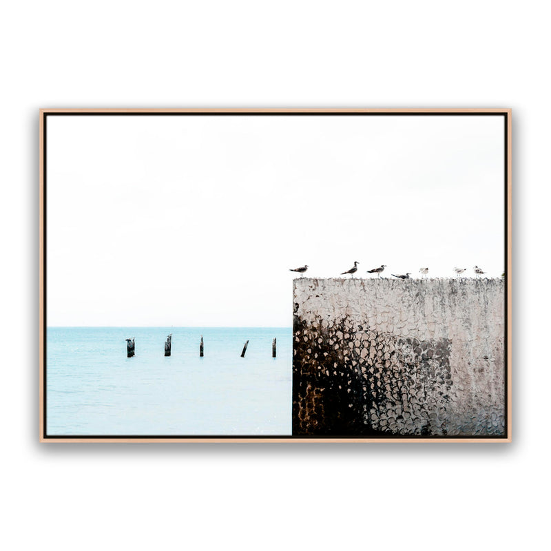 Birds View