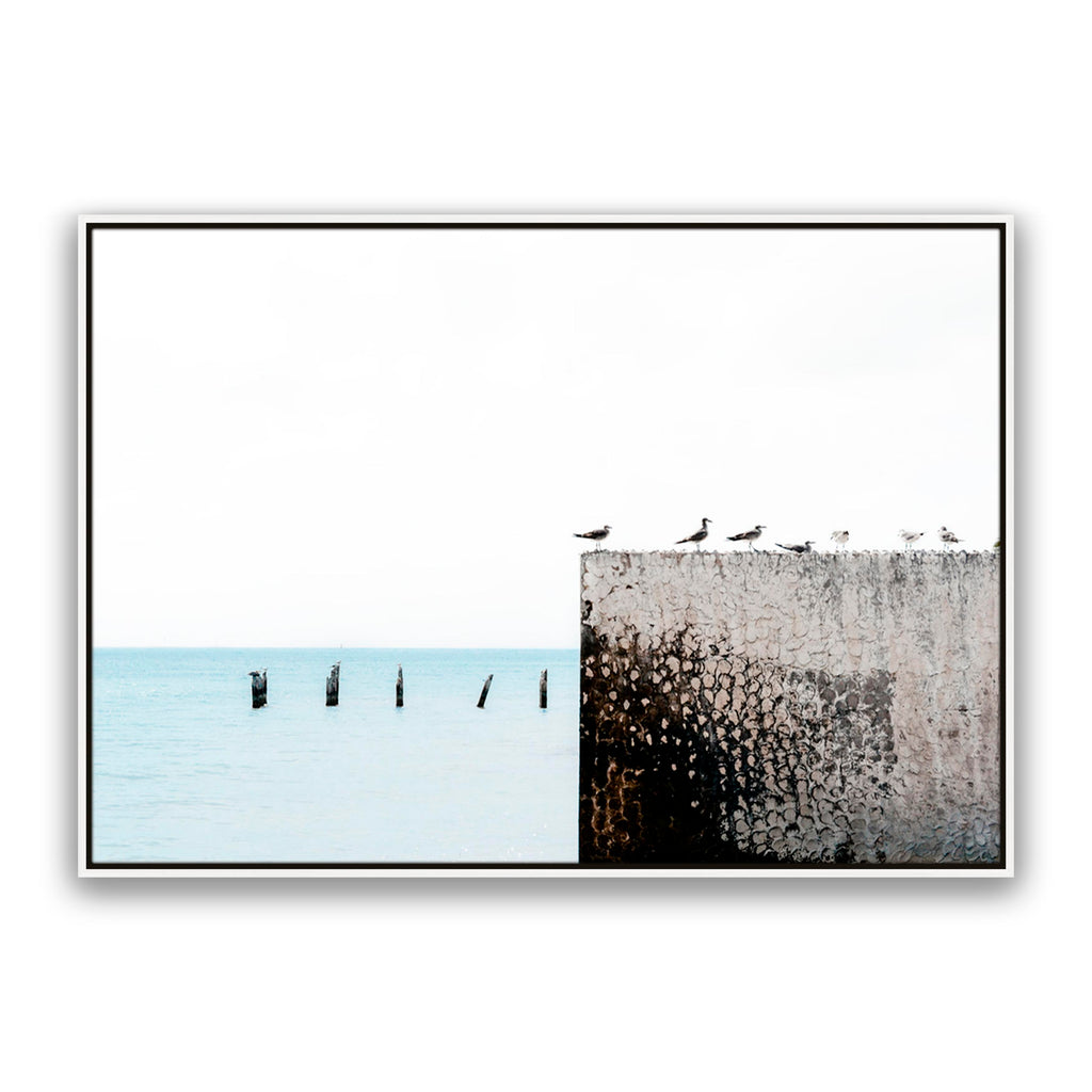Birds View
