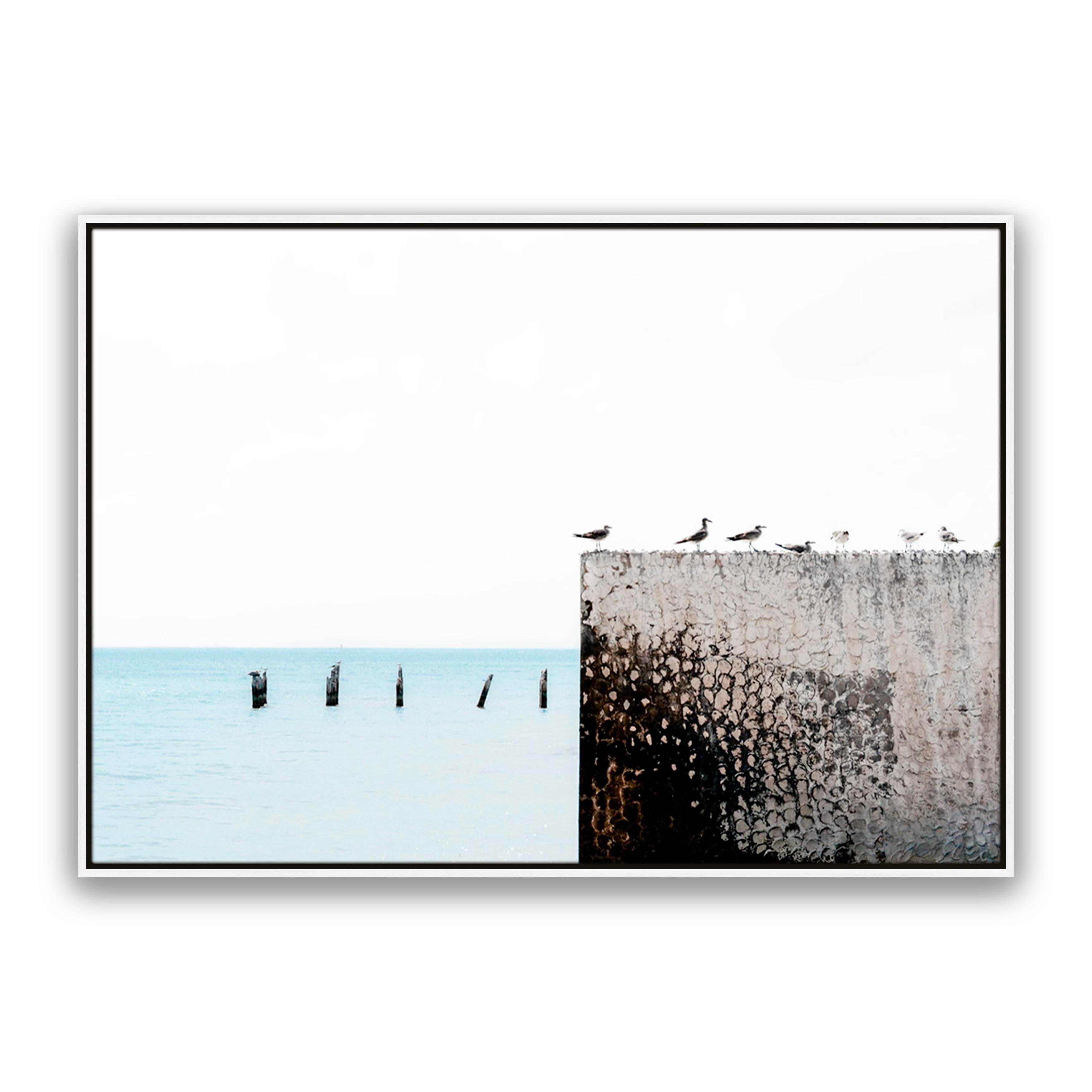 Birds View